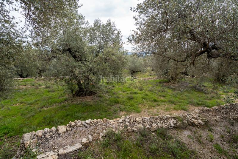 Foto f0723c60-ae91-499c-9add-759772157fee. Fondo rustico in tv-3421 31 in Mas de Barberans