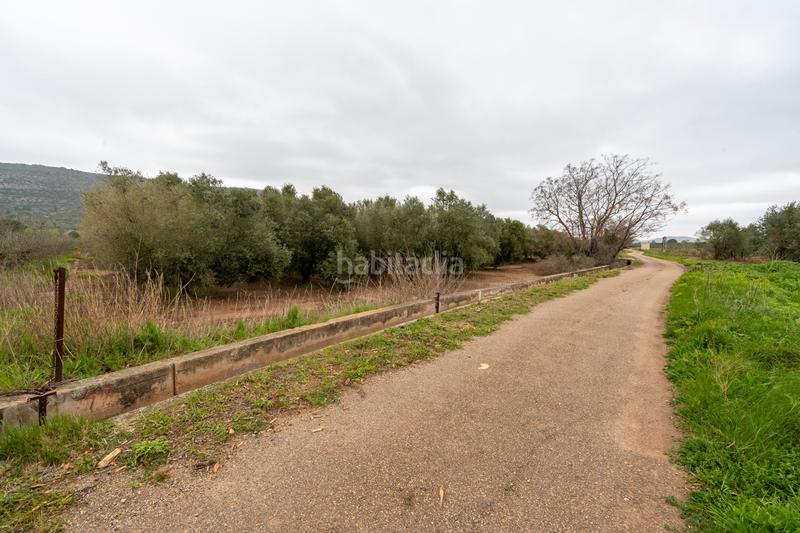 Foto 031bd408-1b50-4d96-998f-d284b2c5ef6f. Propriété dans n/a dans Godall