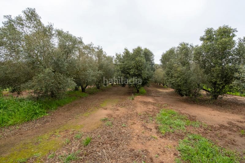 Foto 2fa099be-99c2-4f48-ac6c-e3d3308fc692. Propriété dans n/a dans Godall