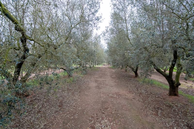 Foto 442a7b74-284d-4071-9874-59aa4fced775. Propriété dans n/a dans Godall