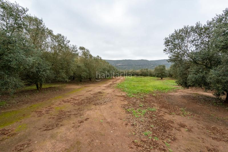 Foto 55dfde16-7526-4f61-a82c-422c59bf7274. Propriété dans n/a dans Godall