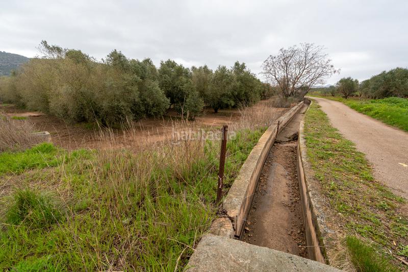 Foto a2f49831-2b73-49ed-84b7-6dddd4724072. Propriété dans n/a dans Godall