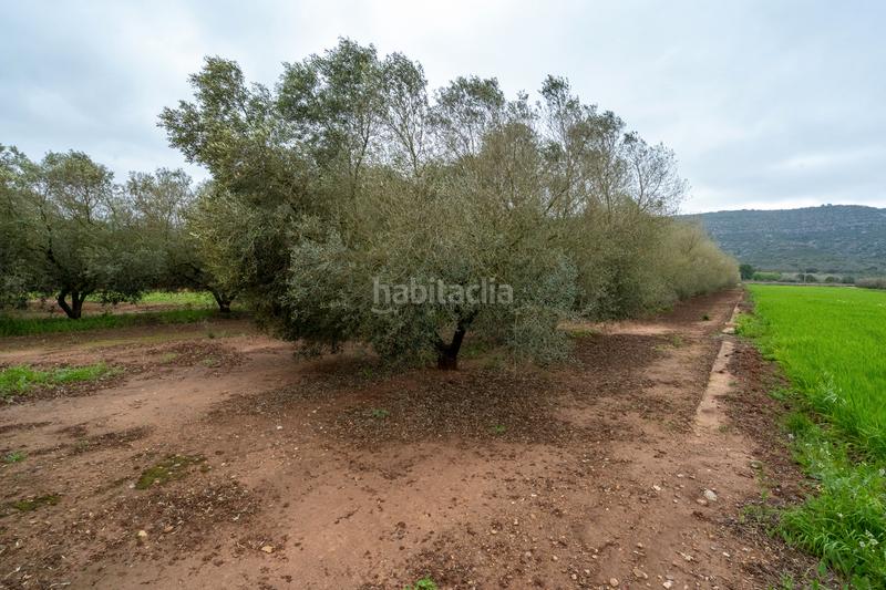 Foto e5a74a1a-5d2a-4845-8b4c-0f8718e09527. Propriété dans n/a dans Godall