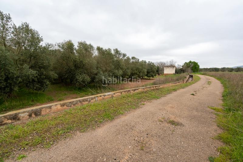 Foto e76ac62f-31d8-4487-9ee9-291bac677145. Propriété dans n/a dans Godall