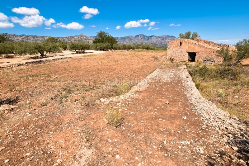 Foto bfe62030-1740-4c17-aead-6fca56bce179. Propriété dans n/a dans Galera (La)