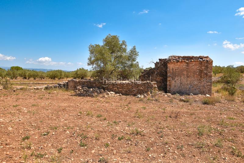 Foto e0711a76-bc21-402f-94f6-1319a37e7766. Propriété dans n/a dans Galera (La)