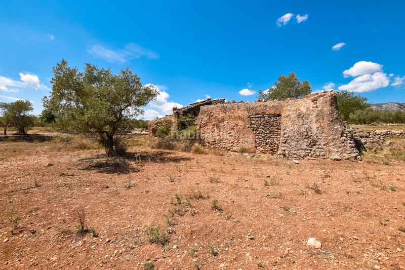 Foto fec04abd-7ddf-4b89-8d0a-69f1d4771e17. Propriété dans n/a dans Galera (La)