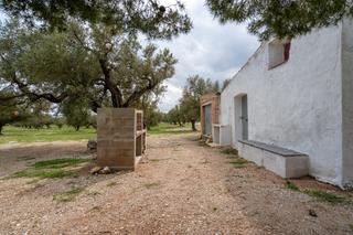 Rural plot in N/a. Finca rústica de olivos con agua de riego de pozo comunitario
