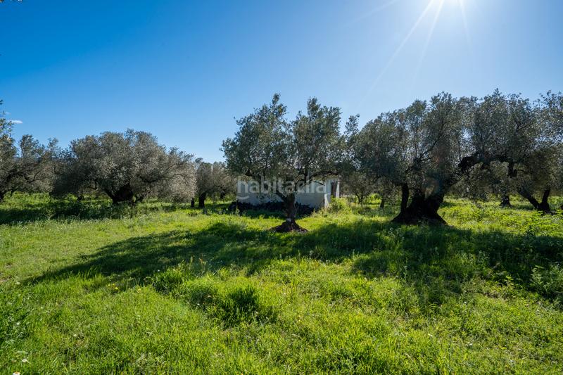 Foto 0330a543-11a0-4668-955b-2df5c68297ce. Propriété dans cv-100 15 dans Rossell