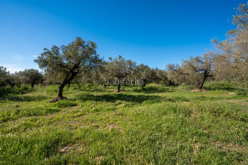 Foto 24a2305e-16b9-4d4f-93ed-ede7c4aacd81. Propriété dans cv-100 15 dans Rossell