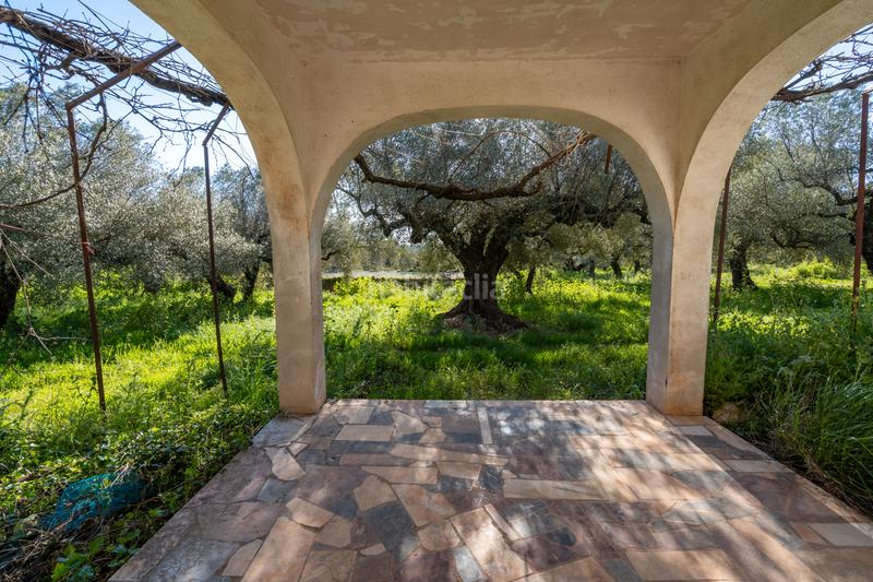 Foto 466b1e24-24fa-4c5e-90dd-5f95022a6d8d. Propriété dans cv-100 15 dans Rossell