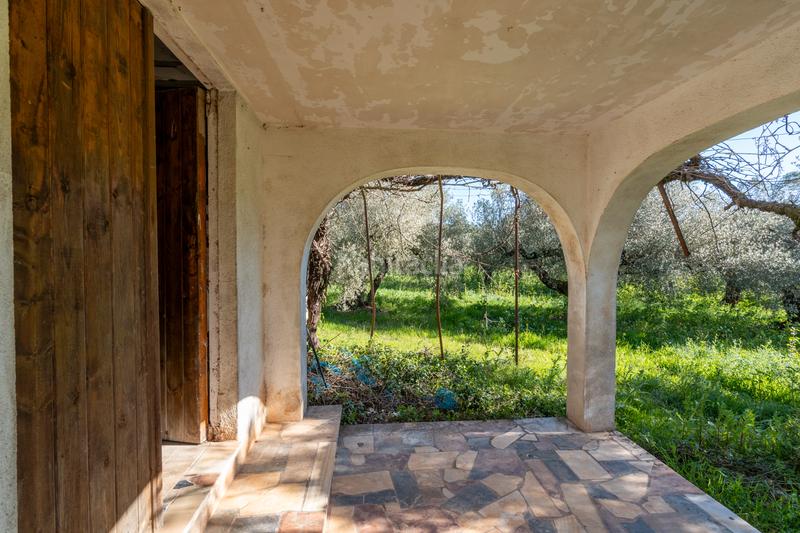 Foto 48fad3fe-72de-4201-a773-9fe357b4334f. Propriété dans cv-100 15 dans Rossell