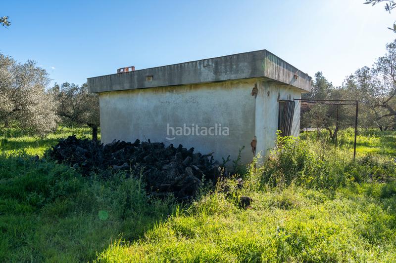 Foto 500ccc1c-70da-4cfe-ad92-82f25090e2df. Propriété dans cv-100 15 dans Rossell