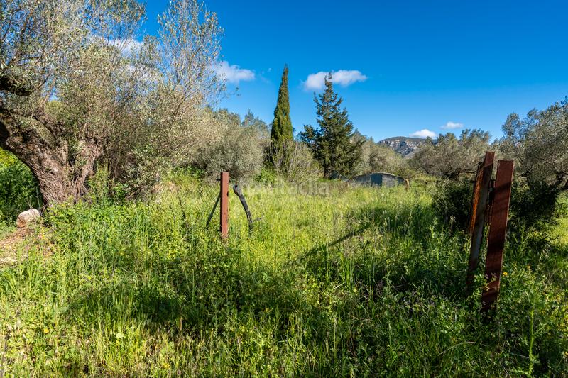 Foto 7a73ad0a-2c13-4445-9ef0-052b5e55e12f. Propriété dans cv-100 15 dans Rossell