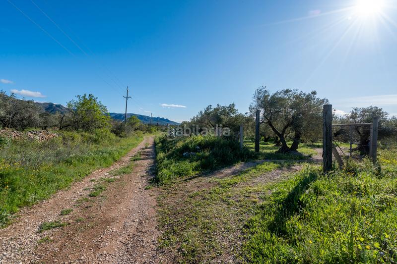 Foto 998a6639-9507-49ae-9350-cbaa1dcd2e4c. Propriété dans cv-100 15 dans Rossell