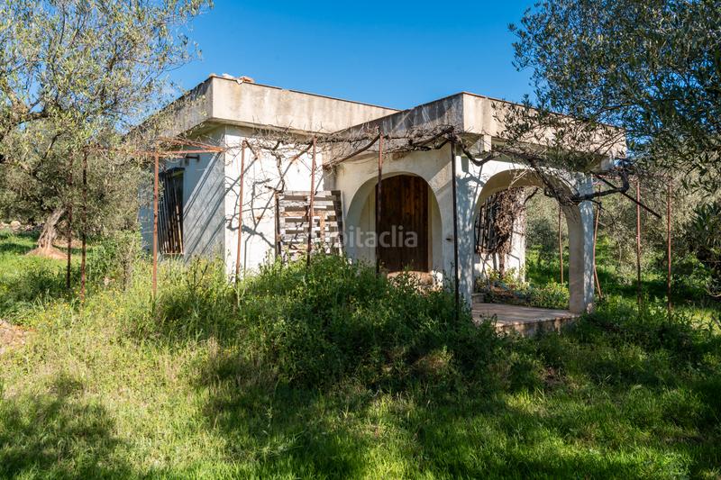 Foto 9f3bcb54-0a68-4cc3-8d9e-e245f101d91a. Propriété dans cv-100 15 dans Rossell