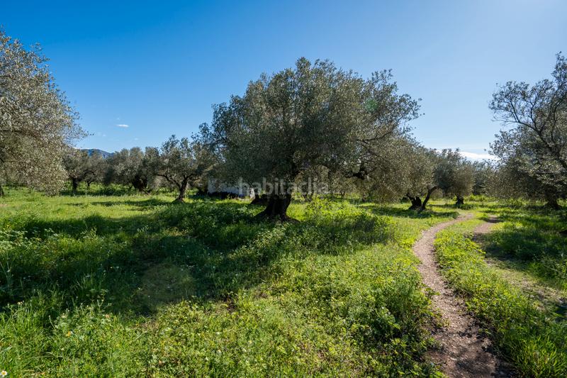 Foto a140f600-9d52-4818-95ff-d63627c2ec2c. Propriété dans cv-100 15 dans Rossell