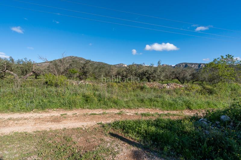 Foto a53a8d8b-9e17-471d-97f7-42fed7c898a4. Propriété dans cv-100 15 dans Rossell