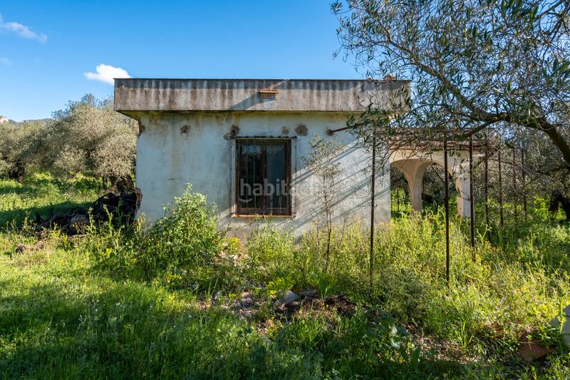 Foto a97a72fa-4173-4b6b-9eba-42dc6509ce4c. Propriété dans cv-100 15 dans Rossell