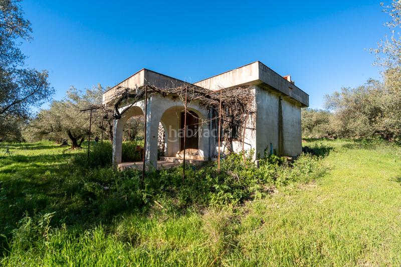 Foto ab5fb346-2a8b-4b07-9d85-4b453a5f2b13. Propriété dans cv-100 15 dans Rossell