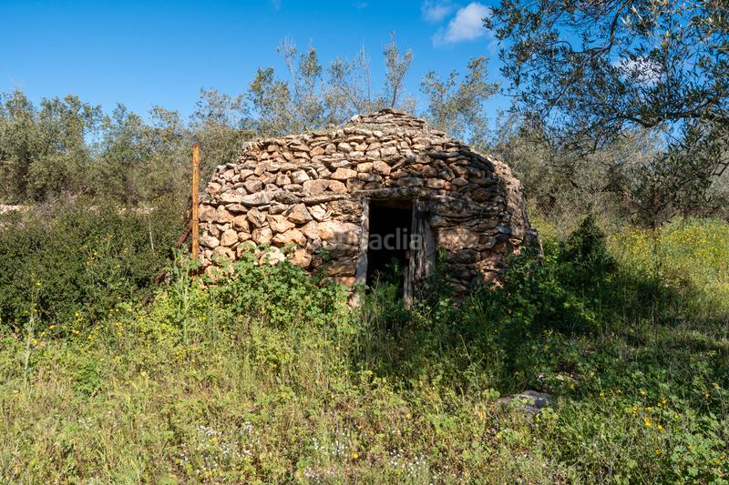 Foto b61be9ca-7fb3-479e-a5cc-0d38ea1d6dad. Propriété dans cv-100 15 dans Rossell