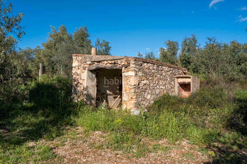 Foto f932d852-a56b-413f-a626-baa9d4cf7c90. Propriété dans cv-100 15 dans Rossell