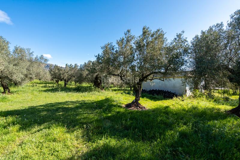 Foto f9c55a32-734b-419b-bfcb-59e3f7b73ff4. Propriété dans cv-100 15 dans Rossell