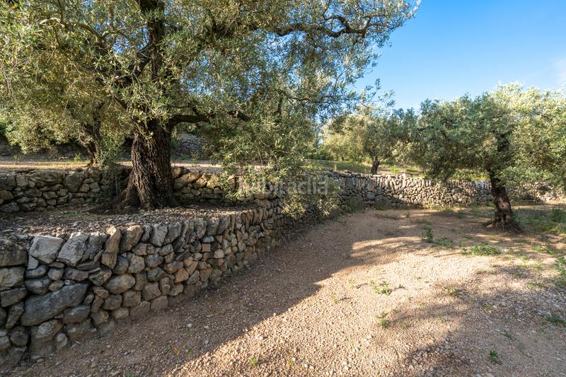 Foto 04e8318f-ad26-46ec-b0ee-d4d69b8f4186. Rural plot in tv-3421 31 in Mas de Barberans