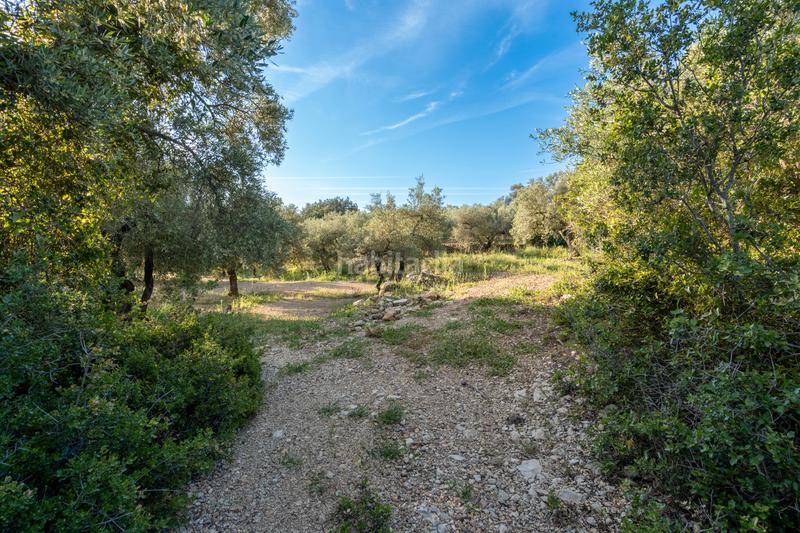 Foto 24b7e5b1-dcb9-4b3e-9126-8afbb0a8e1e5. Rural plot in tv-3421 31 in Mas de Barberans