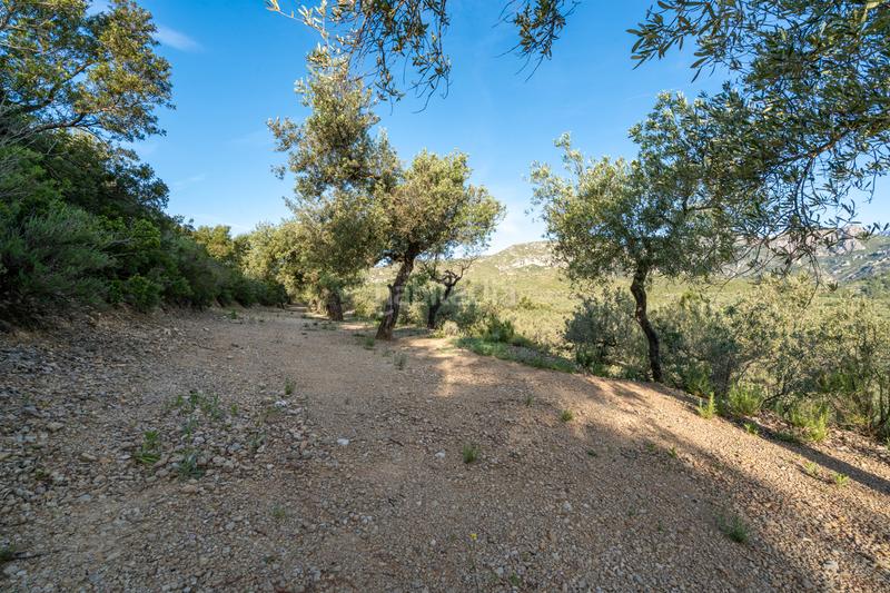 Foto 371f876d-b950-4dff-8b3e-a31c524e11b4. Rural plot in tv-3421 31 in Mas de Barberans