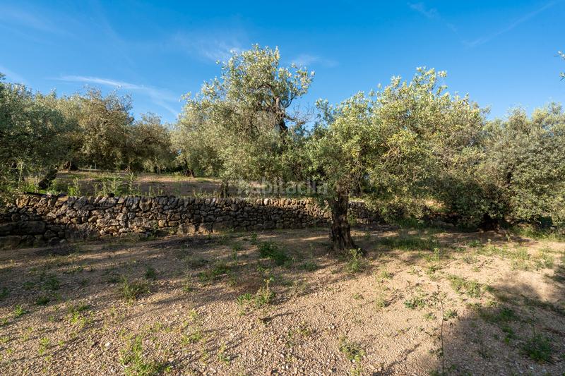 Foto 4b8b5182-b0eb-43fe-a606-25d0bf923986. Rural plot in tv-3421 31 in Mas de Barberans