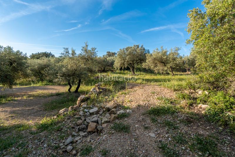 Foto 500fdde1-f2f2-4ffb-a49c-665c26872d47. Rural plot in tv-3421 31 in Mas de Barberans