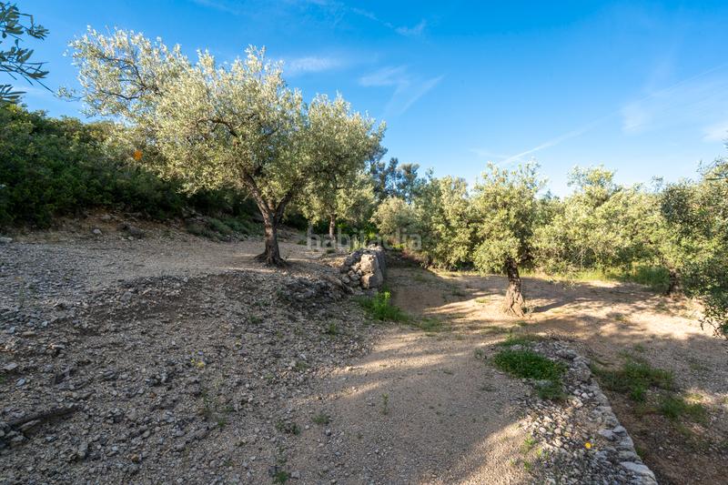 Foto 55433001-5b3b-44e6-ac82-a810056aa000. Rural plot in tv-3421 31 in Mas de Barberans