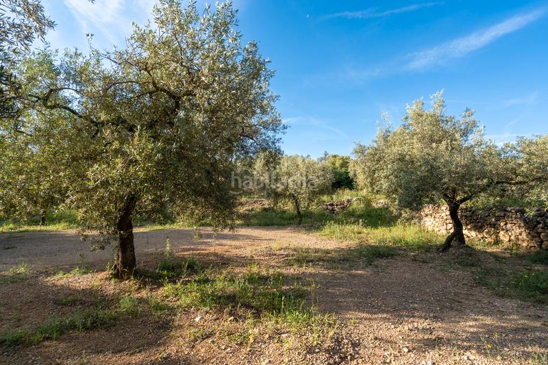 Foto 5741f8b5-cb2a-457d-8dcb-85aaeba52654. Rural plot in tv-3421 31 in Mas de Barberans