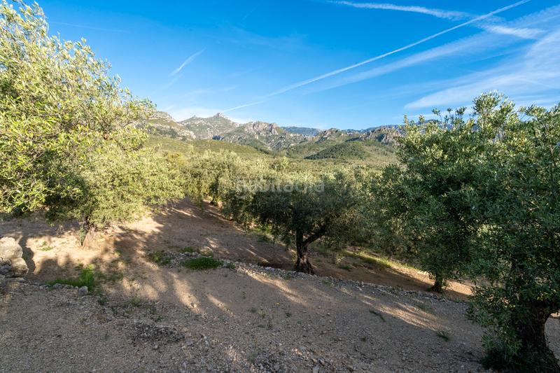 Foto 69d5de6e-7ea7-46d4-a452-5958565b5946. Rural plot in tv-3421 31 in Mas de Barberans