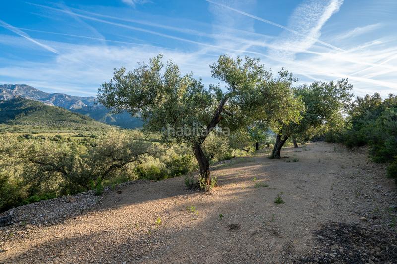 Foto 733a60c8-3a88-49e3-b587-3ce977b286d2. Rural plot in tv-3421 31 in Mas de Barberans