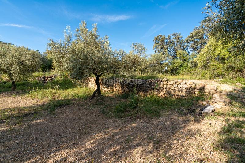 Foto 7355d1a8-c50c-4a0e-b829-46c5ef8e912f. Rural plot in tv-3421 31 in Mas de Barberans