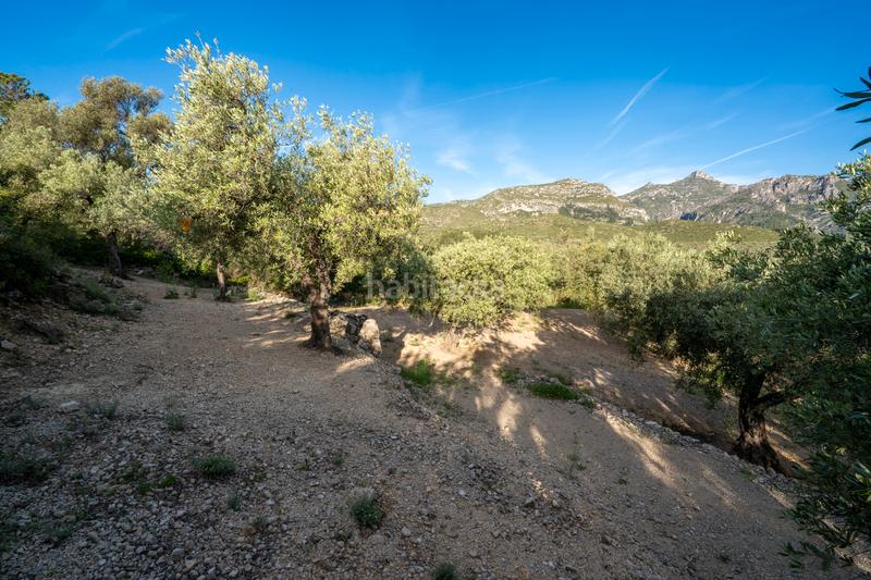 Foto 846dbbe6-1423-4138-87a0-7721751e636c. Rural plot in tv-3421 31 in Mas de Barberans