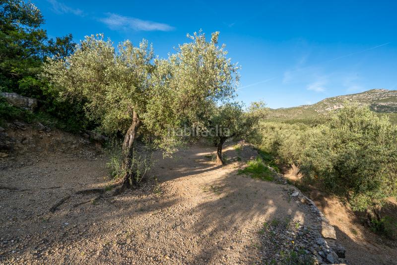 Foto 8e124700-6ca8-4e9f-a4ff-bf0f7c20d0c8. Rural plot in tv-3421 31 in Mas de Barberans