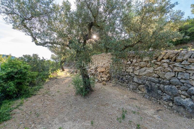 Foto 990151b5-2c84-4307-849c-89155c5a19d2. Rural plot in tv-3421 31 in Mas de Barberans