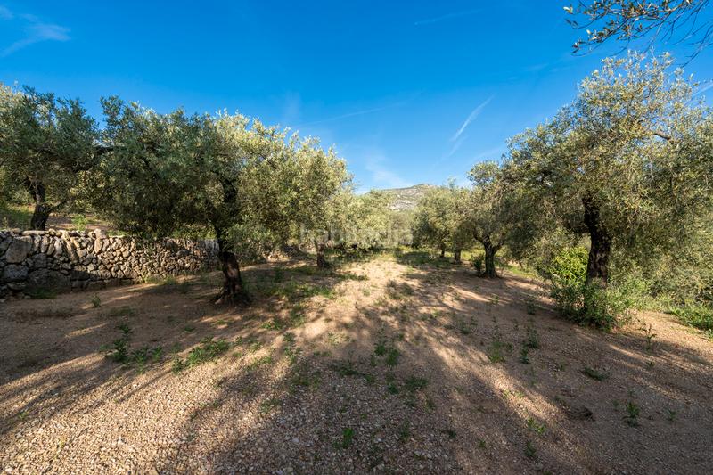 Foto b706b436-ff4d-40d9-ba83-4d2c039ca047. Rural plot in tv-3421 31 in Mas de Barberans