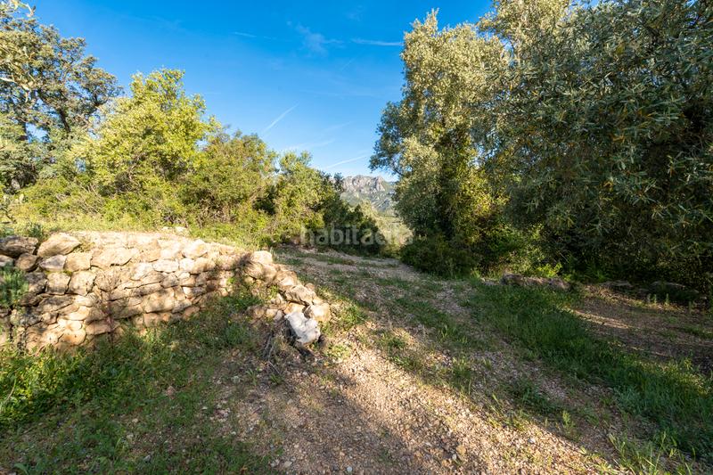 Foto e1298333-f5d7-4ea4-9819-2a22783acf4a. Rural plot in tv-3421 31 in Mas de Barberans