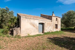 Rural plot in Camí de terrapico 21. Finca rústica de olivos con una masía para reformar