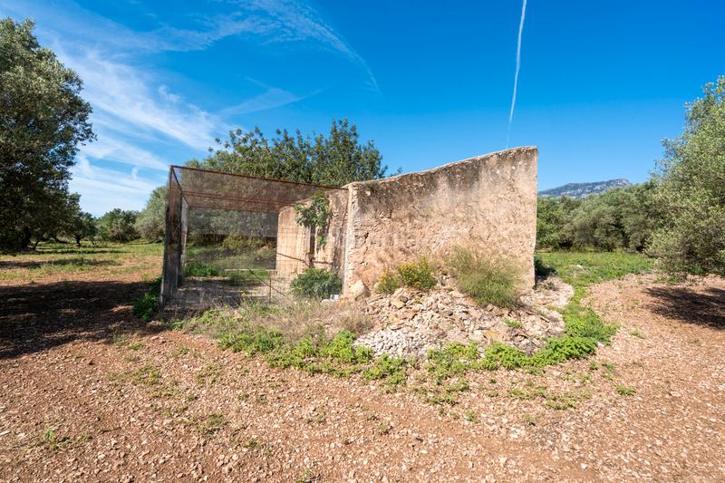 Foto 6e6d64f9-3031-412b-8bc8-d950280cb758. Propriété dans camí de terrapico 21 dans Roquetes