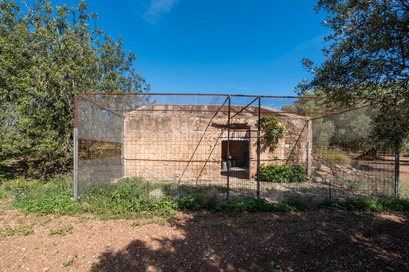 Foto 780c88b5-cc80-4a64-aa33-53560e26b37e. Propriété dans camí de terrapico 21 dans Roquetes