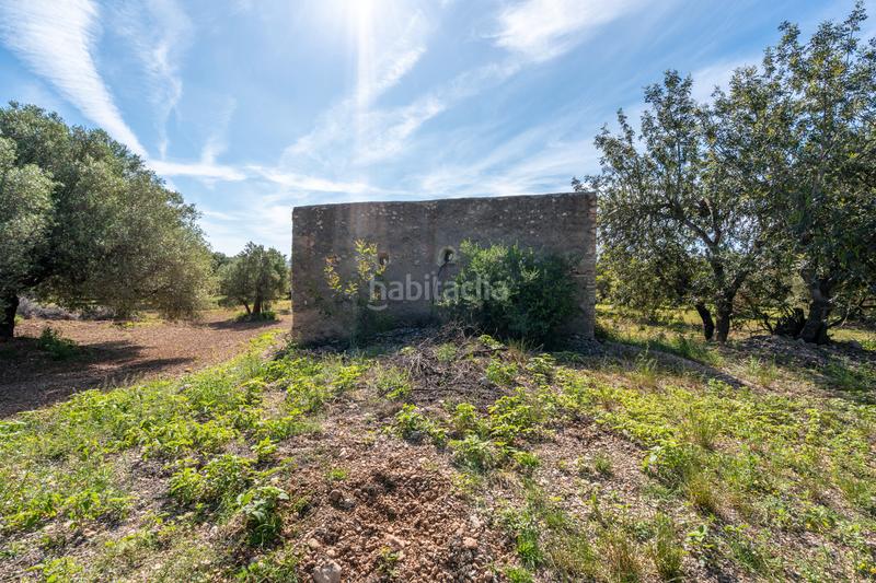 Foto 8f0a58ab-a6ec-474f-a43c-90f067e6aeb4. Propriété dans camí de terrapico 21 dans Roquetes