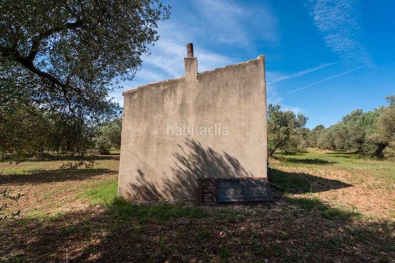 Foto 96ef7a82-3941-4350-8a2e-fb60fb4dc28c. Propriété dans camí de terrapico 21 dans Roquetes