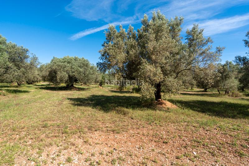 Foto a2ca14fa-dd87-4ac8-b985-df11fceabb0b. Propriété dans camí de terrapico 21 dans Roquetes