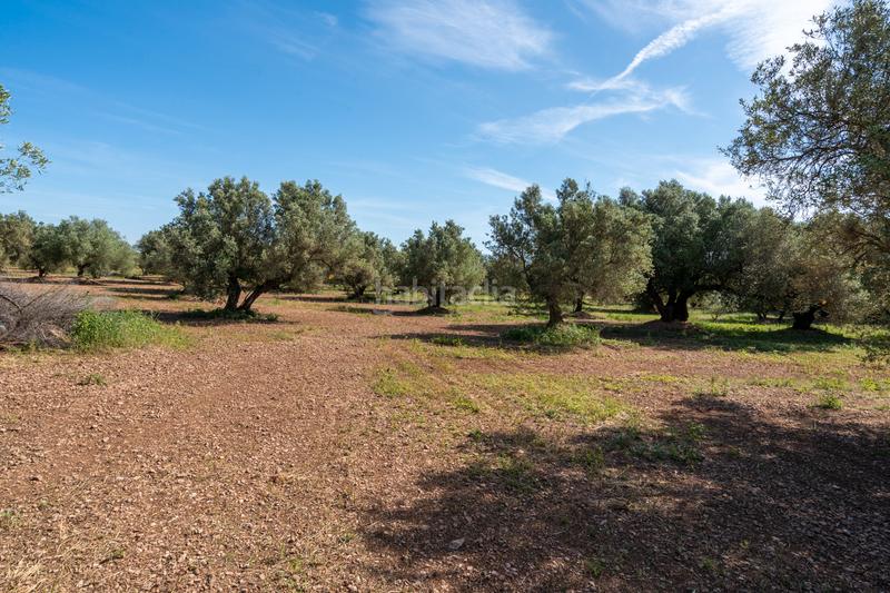 Foto bba823c6-b51e-4067-90f5-2d1f3bef8dd4. Propriété dans camí de terrapico 21 dans Roquetes