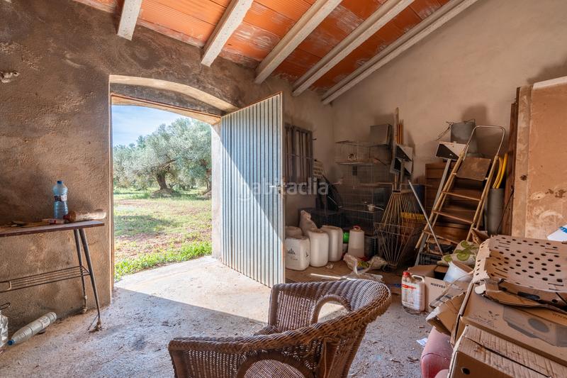 Foto cb7f91a0-b4d2-480c-90ab-f749781be6dd. Propriété dans camí de terrapico 21 dans Roquetes